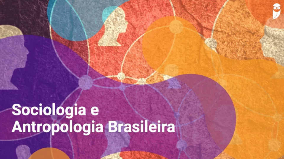 Sociologia e Antropologia Brasileira: formação social do Brasil