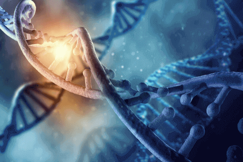 Como responder questões sobre DNA na prova do vestibular?