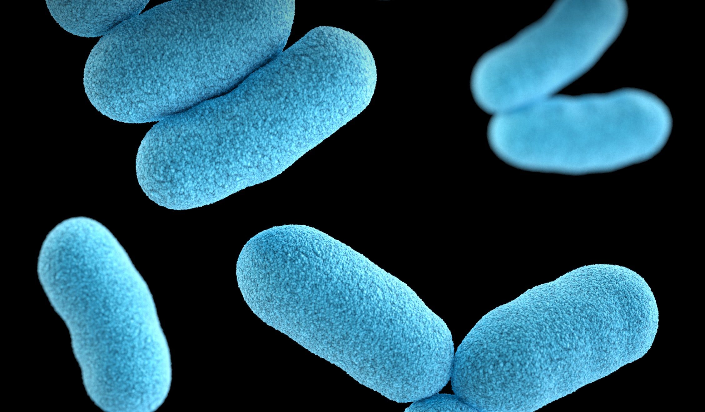 Quimiossíntese - bactérias azuis