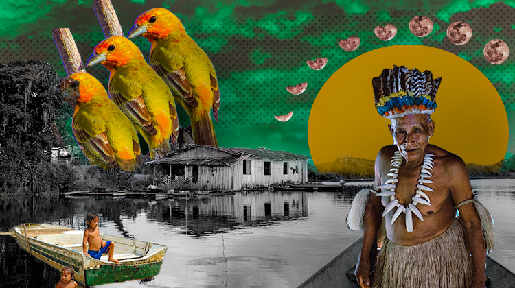 Dia Mundial da Amazônia: como o tema pode cair no vestibular?