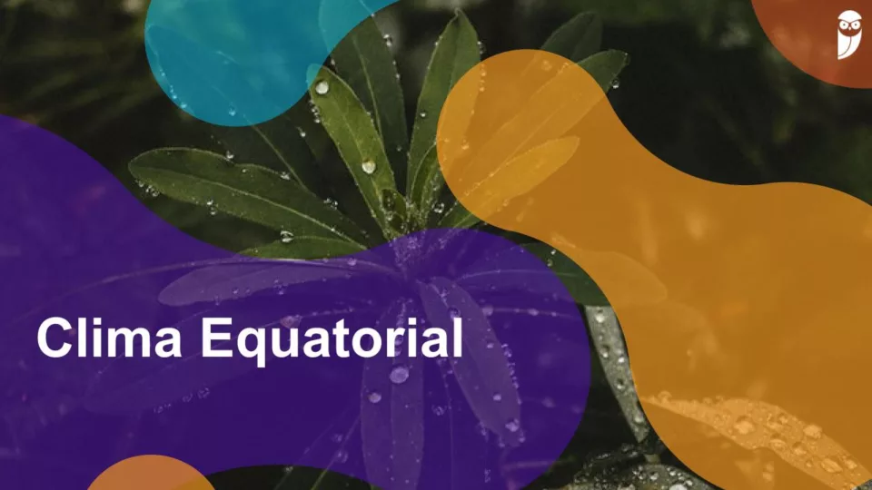 Clima Equatorial: características, subtipos, florestas e mais