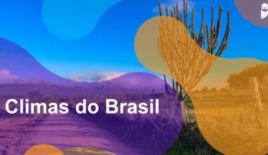 Climas do Brasil - Estratégia