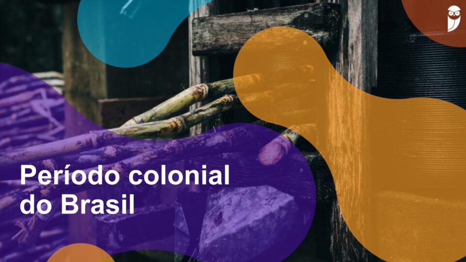 Período colonial do Brasil: como iniciou, política, economia e sociedade