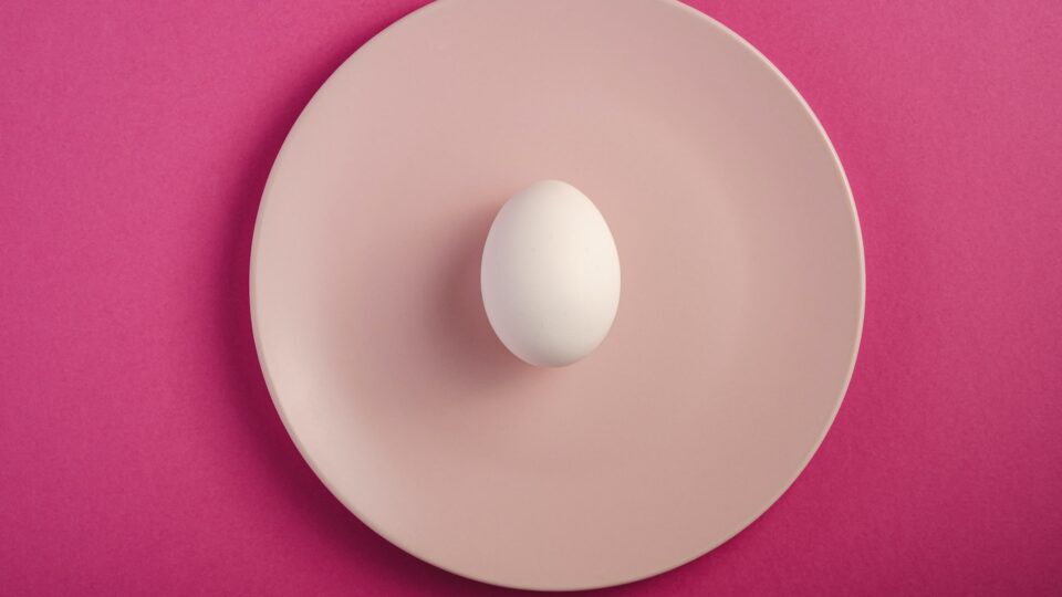 Ovócito: o que é, onde são produzidos, ovulação