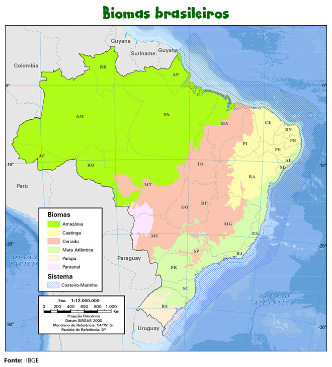 Biomas brasileiros - regiões