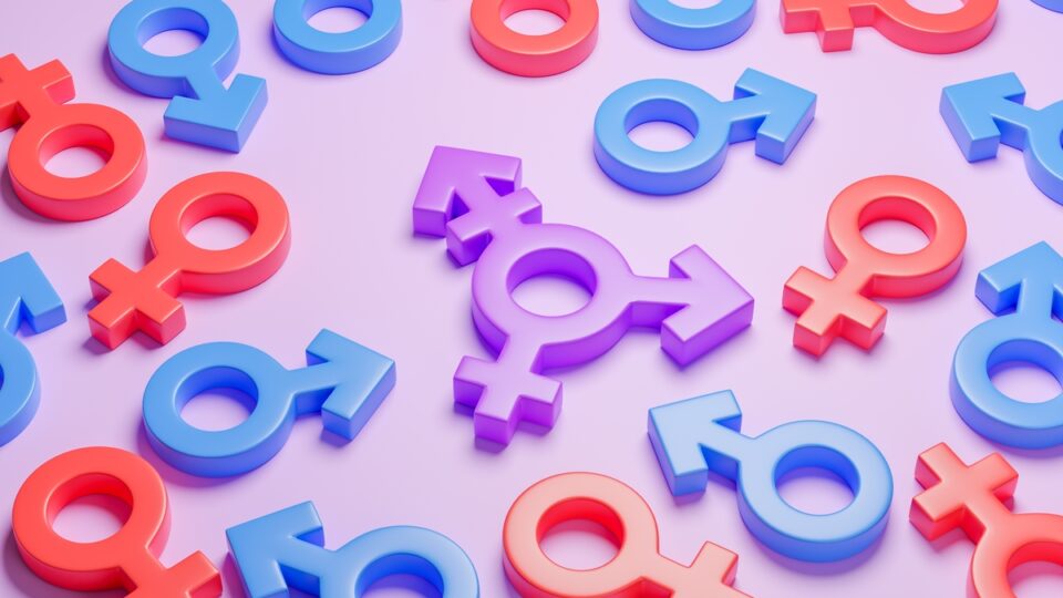 7 citações sobre igualdade de gênero para usar na redação