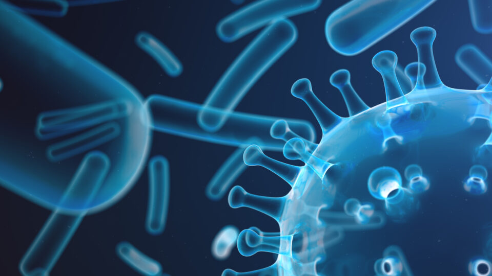 11 questões sobre vírus e bactérias que já caíram nos vestibulares