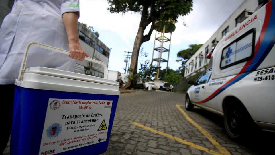 Transplantes de órgãos no Brasil: desenvolva repertórios socioculturais para o vestibular