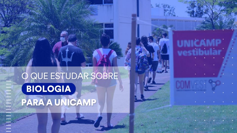 Unicamp: o que estudar para a prova de Biologia do vestibular?