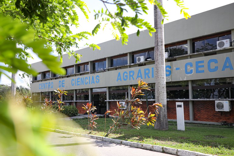 Direito da Ufal tem conceito 5 e Administração em Maceió é o melhor de  Alagoas — Universidade Federal de Alagoas