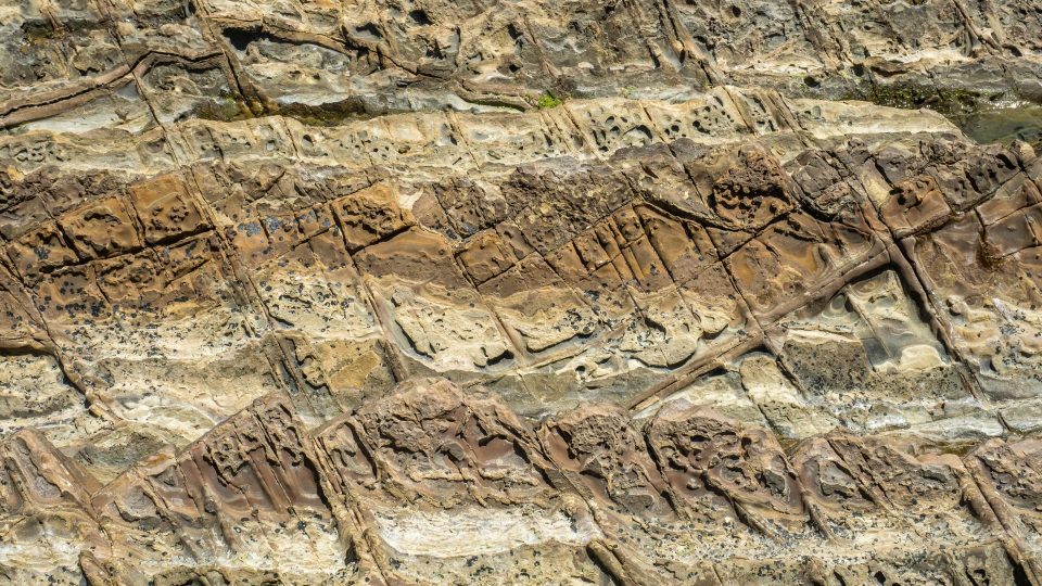 Pintura rupestre: formas de arte na pré-história